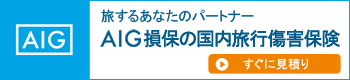 AIG損害保険株式会社