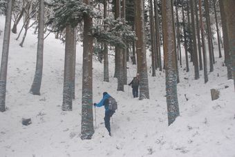 関西／滋賀／雪の比良山系