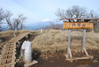 関東／緑の丹沢山