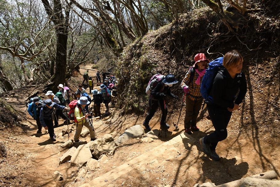 山頂直下の斜面を登る