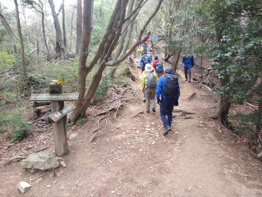 六甲山系の登山道では多くの登山客とすれ違う