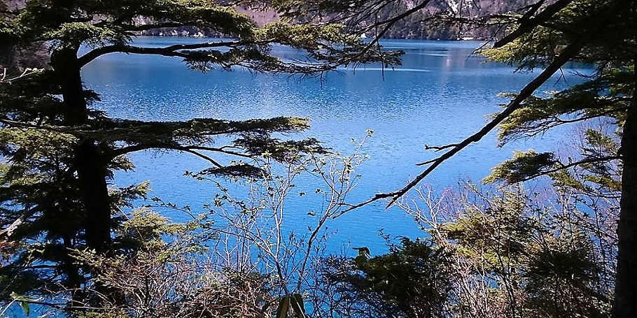 志賀高原・大沼池。青く見える酸性の湖で、志賀高原でもおすすめのスポットです。