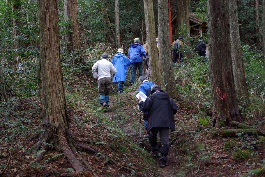 登山道の様子