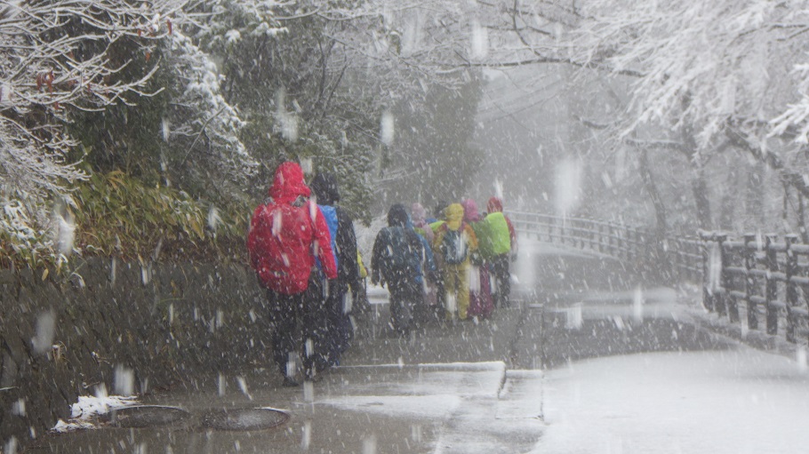 雪が激しく降る中、無事帰路に