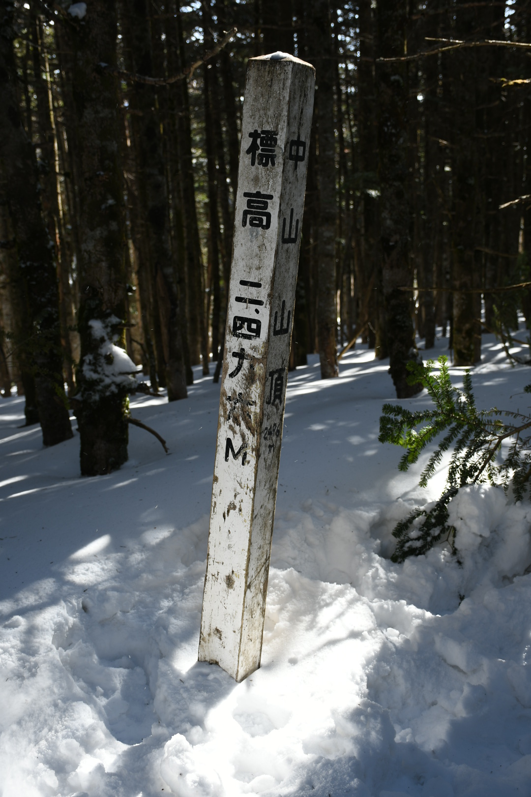 中山の山頂は、山頂というよりも登山道の一部のようだった