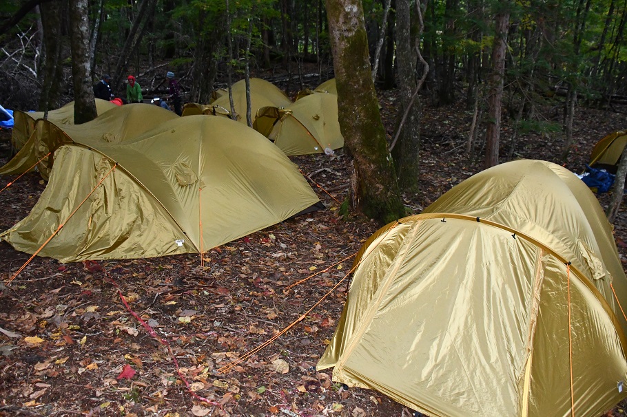 東海ビーチアウトドアキャンプ場 森の少年王子 愛知県 キャンプイズムフィールド Campismfield