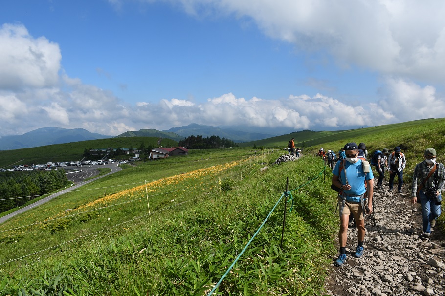 ニッコウキスゲの群落を横目に、山頂を目指す