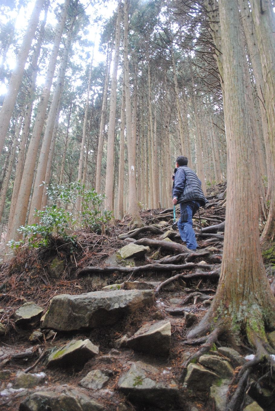 急傾斜地をゆっくり登る