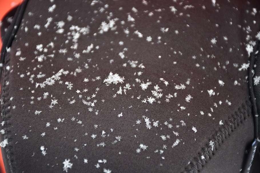 カメラケースの上に、雪の結晶が積もった