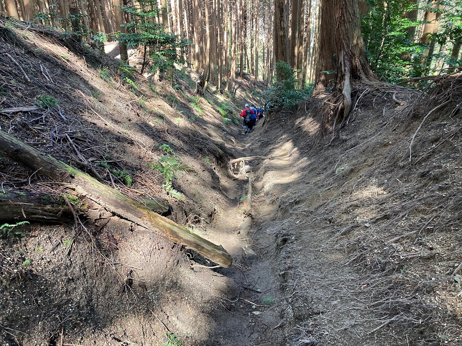 かなりえぐれている登山道。