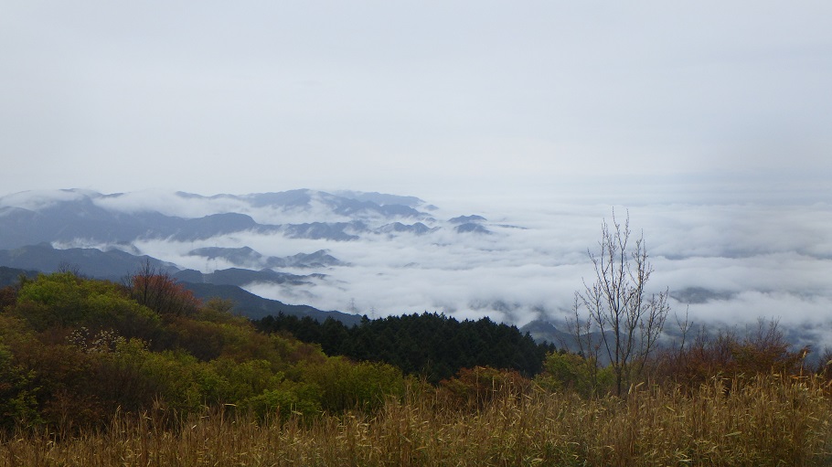 大和葛城山山頂から雲海が見えた