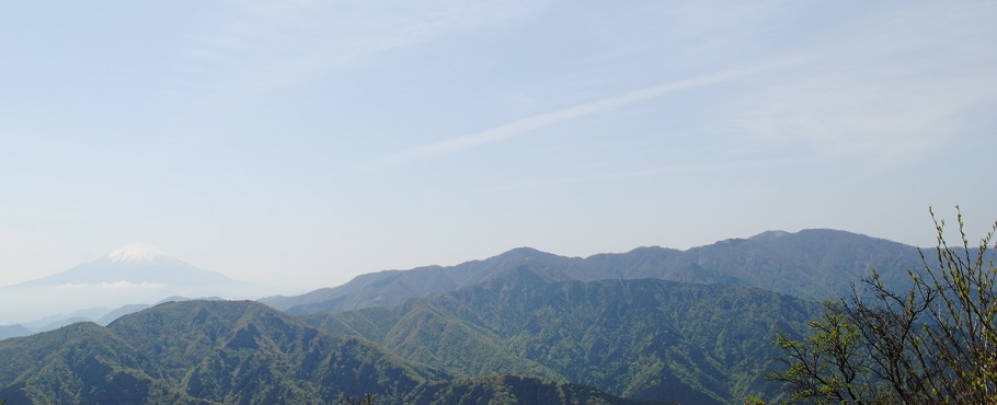 遠くに見える富士山(左)と青々しい丹沢の峰々