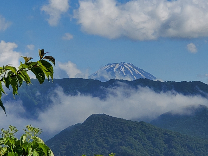 道中から見えた富士山。まだ上部には雪が残っている。