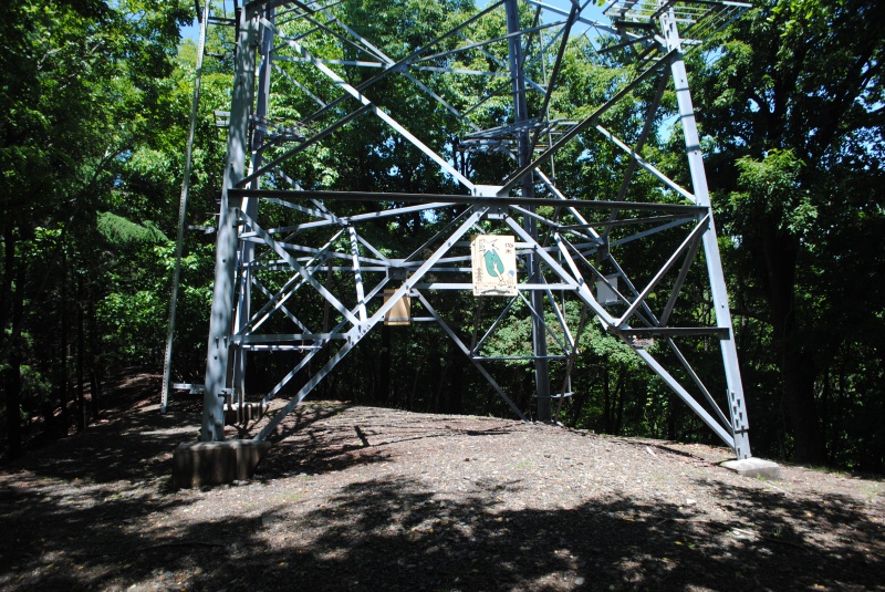 柏尾山山頂。鉄塔がそびえたつ。