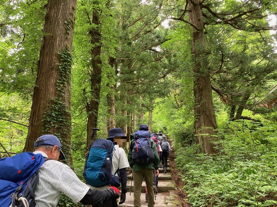 歩き始めから階段が続く大山の登山道