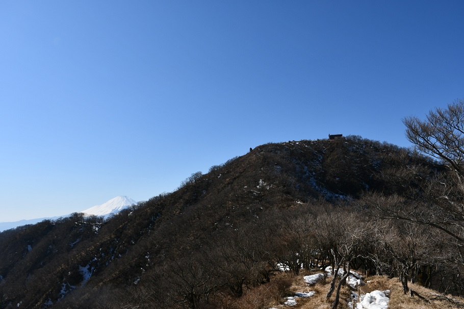 山の上には山小屋が見える。山頂までもう少し。