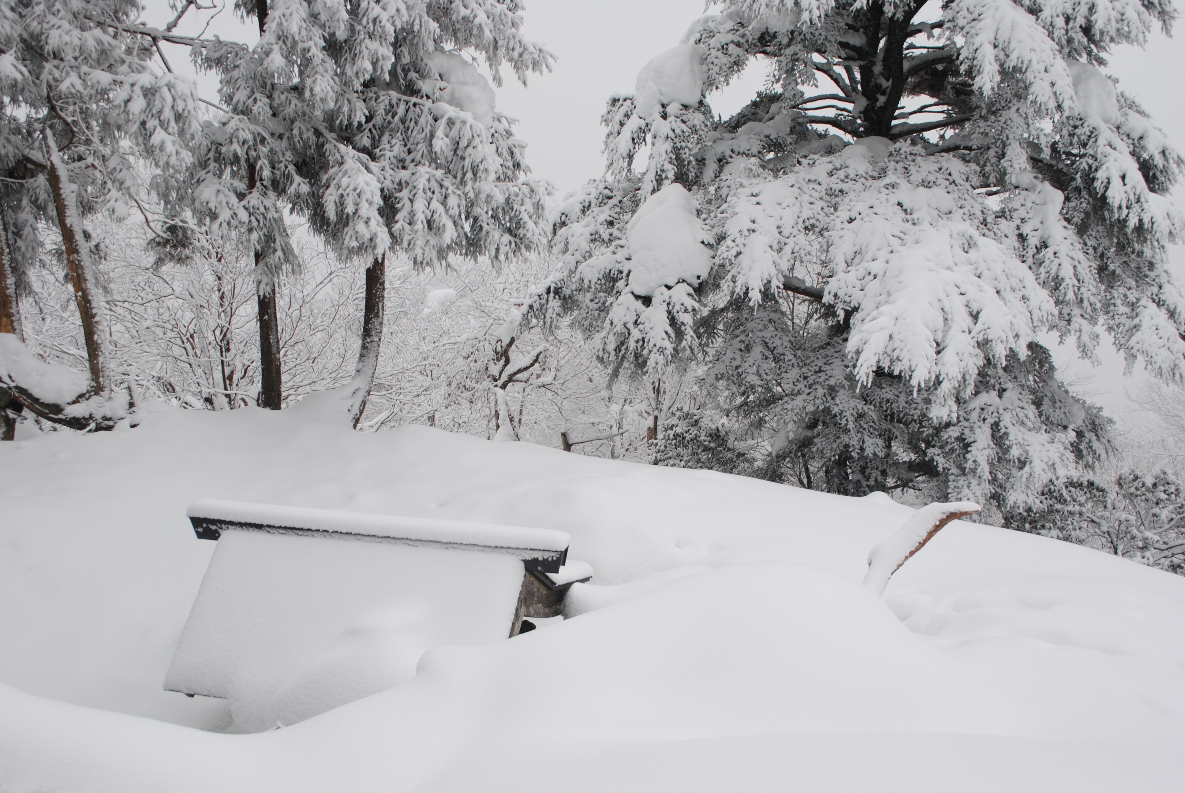 権現山からホッケ山へ向かう稜線　社も雪に埋まっていた