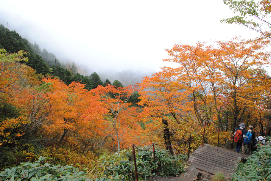 紅葉の中を下山する