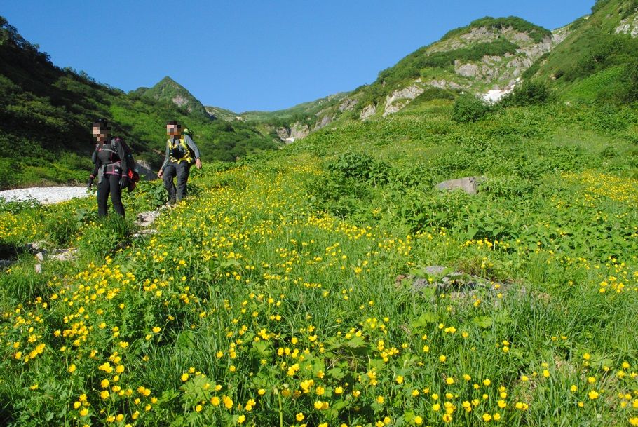 鑓温泉小屋直下のお花畑を歩く外国人カップル