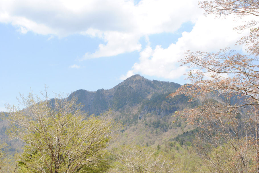 和佐又山山頂からの大普賢岳