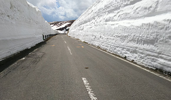志賀草津高原ルート「雪の回廊」と北信州の自然を歩く