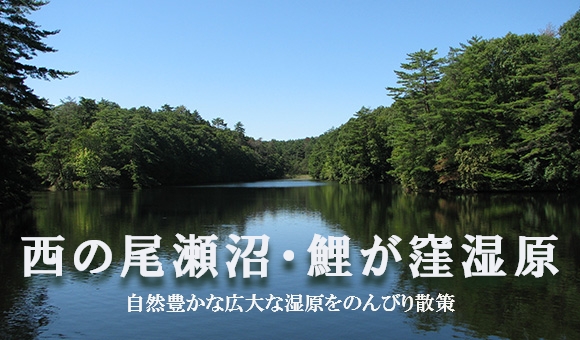 西の尾瀬沼・鯉が窪湿原
