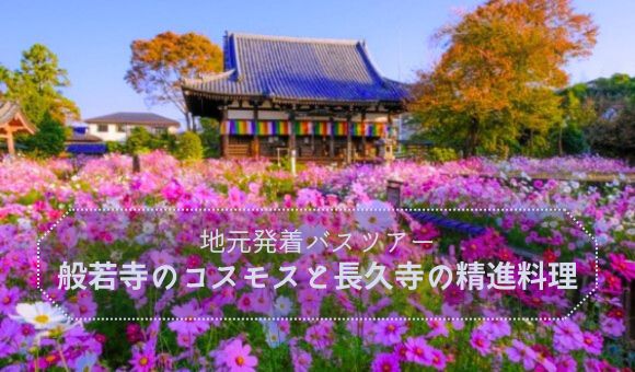 地元発着バスツアー般若寺のコスモスと長久寺の精進料理