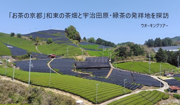「お茶の京都」和束の茶畑と宇治田原・緑茶の発祥地を探訪