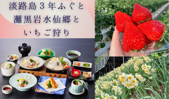 淡路島３年ふぐと灘黒岩水仙郷といちご狩り