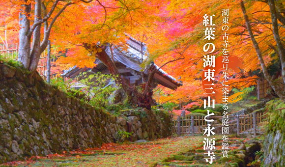 紅葉の湖東三山と永源寺