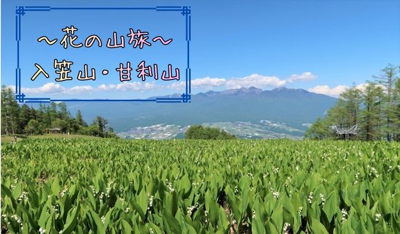 毎日山の旅入笠山・甘利山