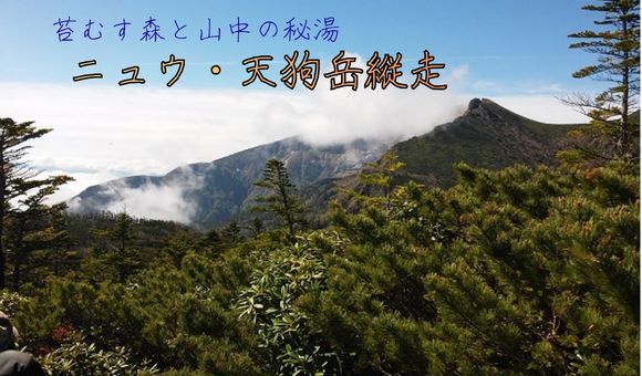 毎日山の旅ニュウ・天狗岳縦走