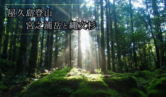 屋久島・宮之浦岳と縄文杉