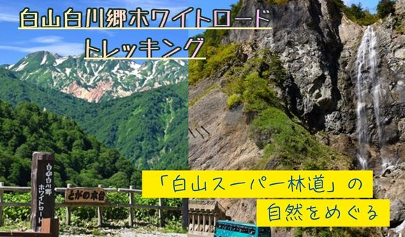 白山ホワイトロードトレッキング