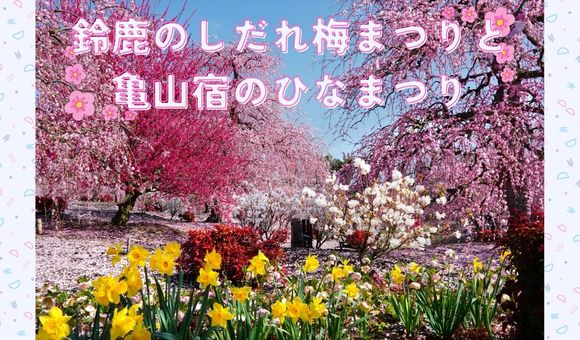 鈴鹿のしだれ梅まつりと亀山宿のひなまつり
