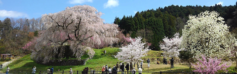 国内の旅・テーマのある旅