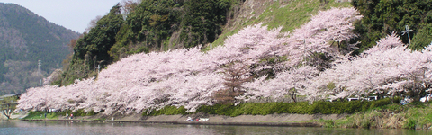 国内の旅・テーマのある旅