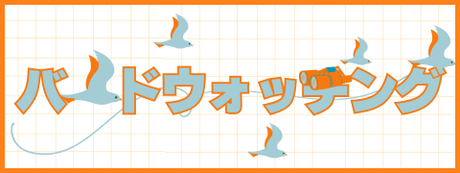 特集　バードウォッチング
