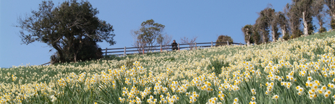 国内の旅・テーマのある旅