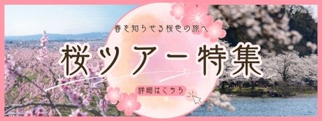特集　桜ツアー