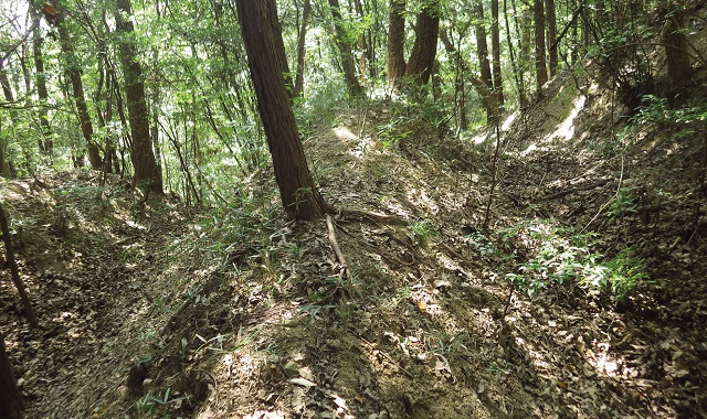 勝尾山城跡：写真提供　「岡山県古代吉備文化財センター」