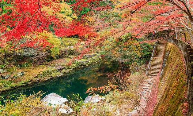 奥津峡（写真提供：岡山県観光連盟）