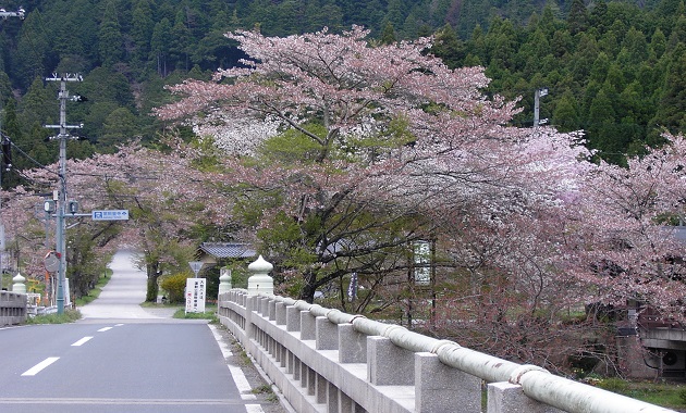 常照皇寺前(イメージ)