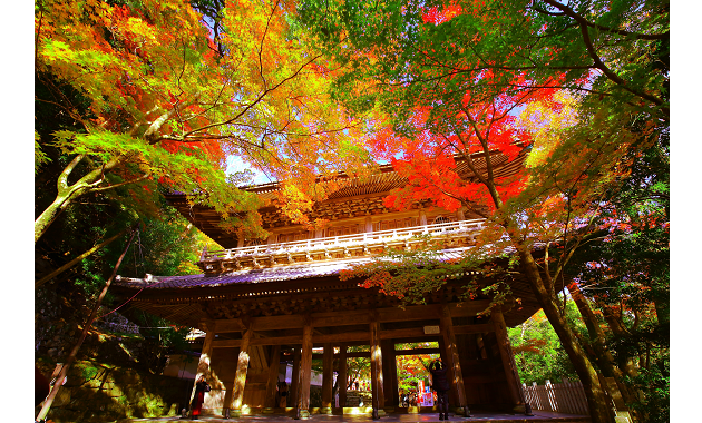 永源寺の紅葉