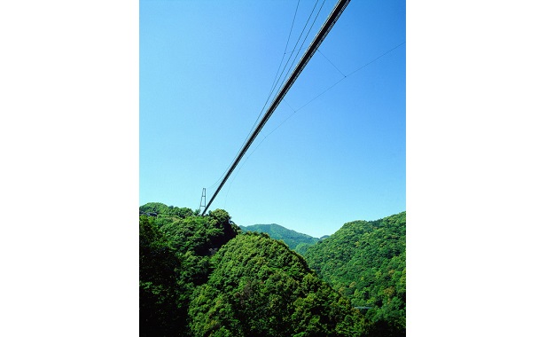 照葉大吊橋（イメージ）