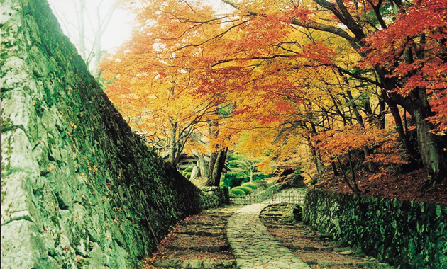百済寺（イメージ）
