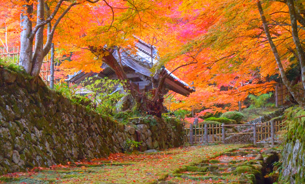 百済寺（イメージ）