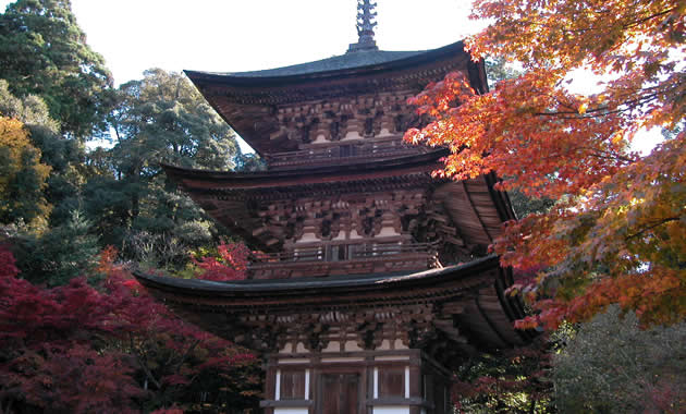 西明寺の三重塔（イメージ）
