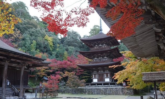 西明寺（イメージ）