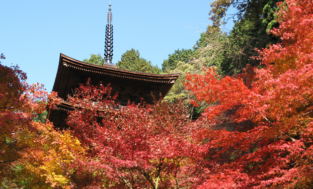 金剛輪寺の三重塔（イメージ）
